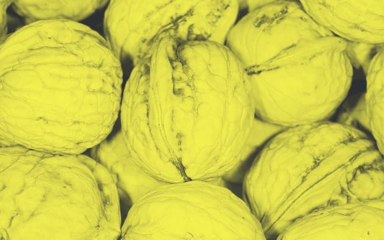 a picture of walnuts