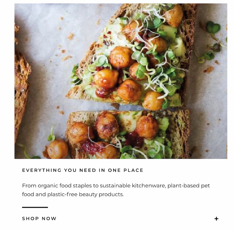 Image of zero-waste meal of chickpeas and salad on bread with a description of the types of food stocked at Forrist store