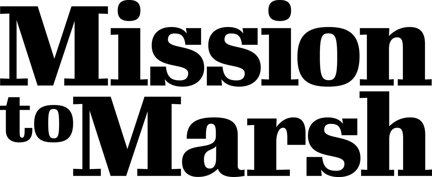 mtm-logo-25cm mission to marsh logo