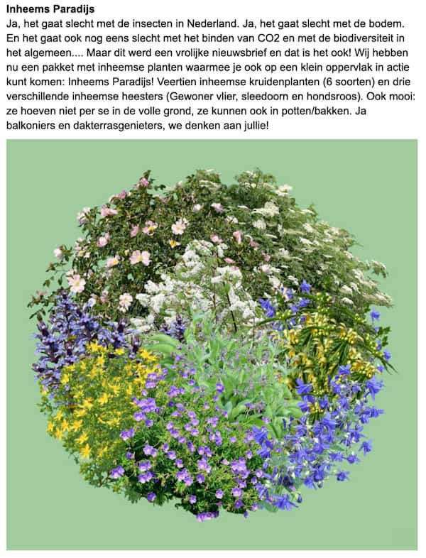 Example snippet from a Dutch SPRINKLR email. Translation follows after the image.