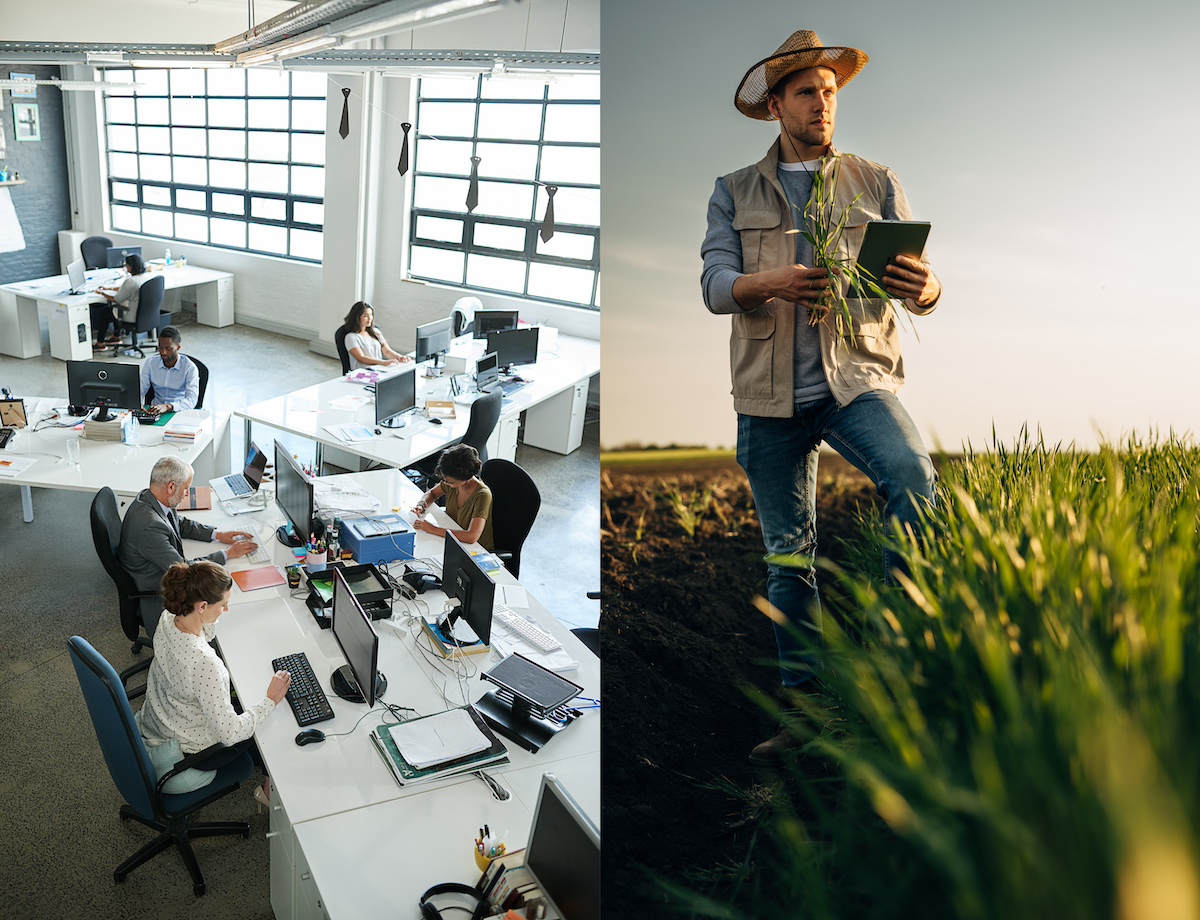 Split image — on one side people work at computer desks; on the other side, a farmer checks the quality of his grain in a field