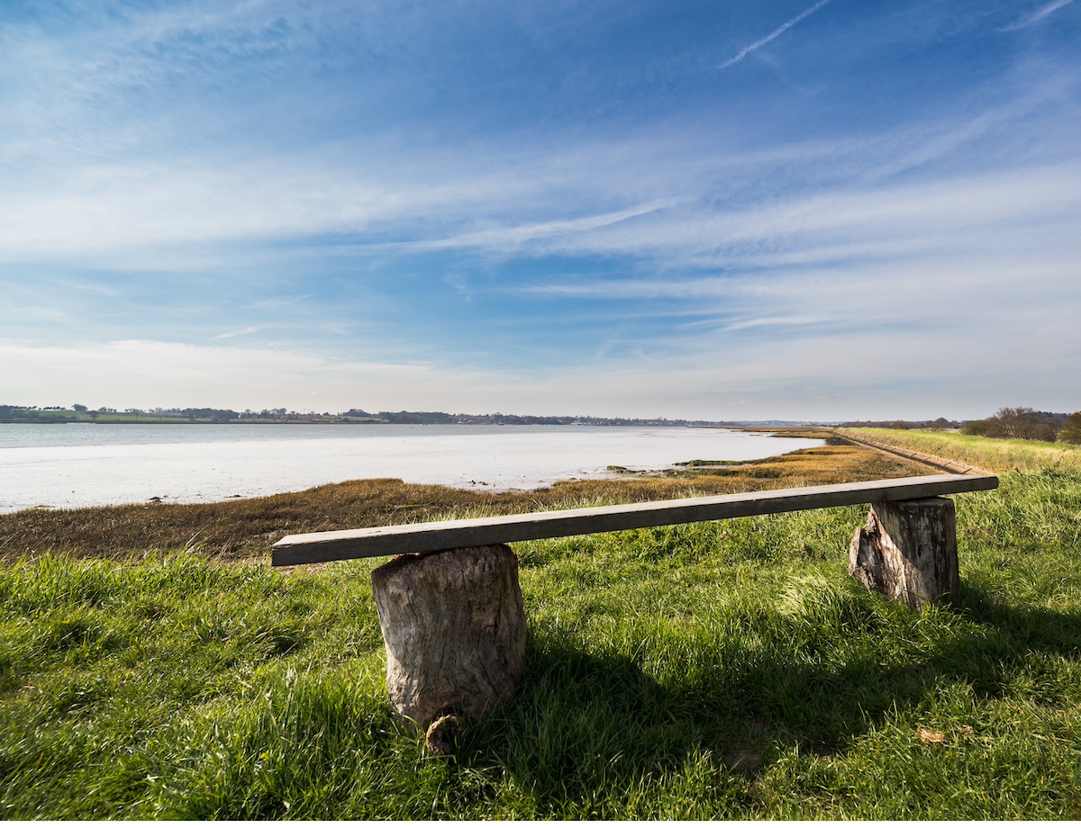 A bench looks out over a lake. There is grass and the weather is fine.