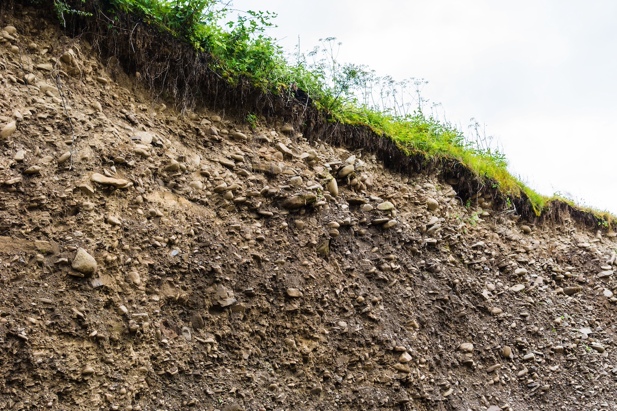A mound of soil, with a little bit of grass on top.